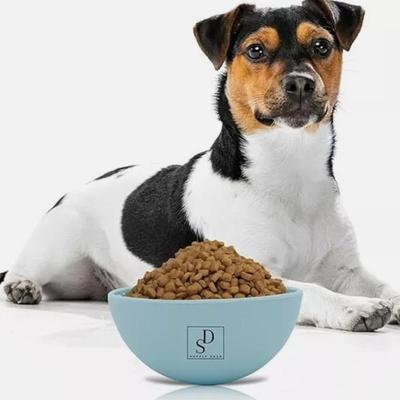 SUPPLY DASH Dog Cat Lick Bowl, Slow Feeder, Wobble, Fun Textured Silicon Bowl