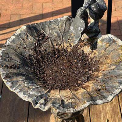 Bird Bath