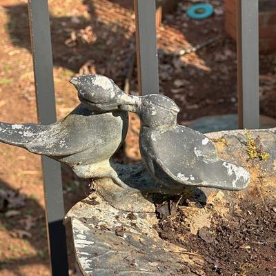 Bird Bath