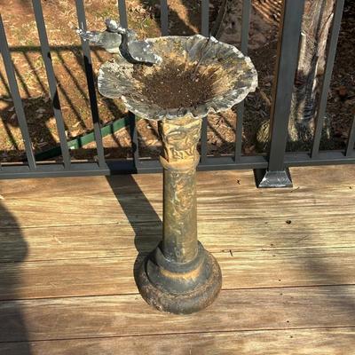 Bird Bath