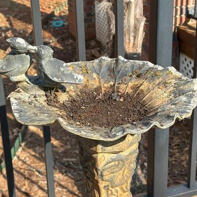 Bird Bath