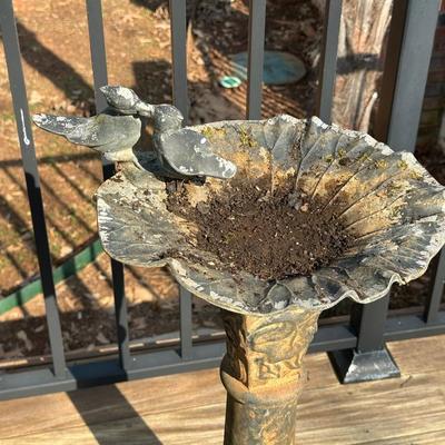 Bird Bath