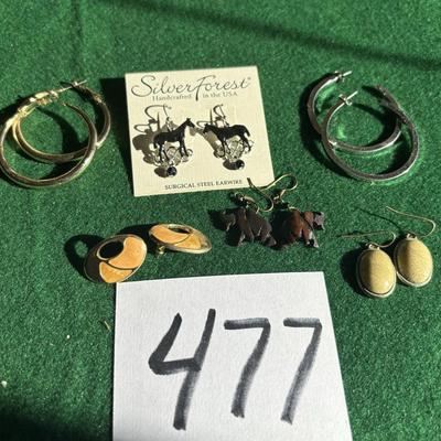 Pierced Earrings