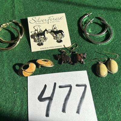 Pierced Earrings