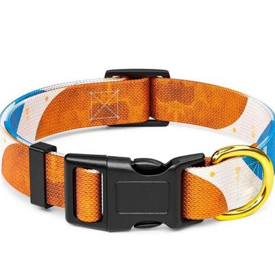 Size Medium Abstract Blue & Orange Stone Art Printed Adjustable Quick Release Nylon Dog Collar w/Durable D-Ring