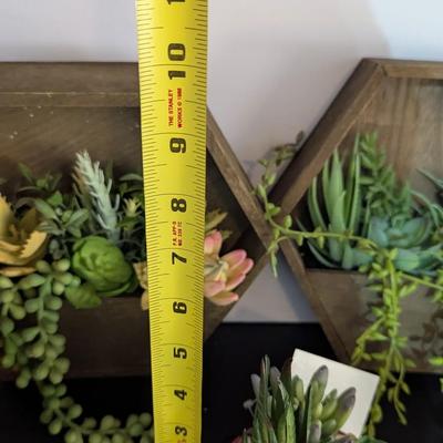 Faux Plants Display Boxes & Vases