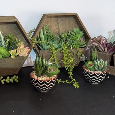 Faux Plants Display Boxes & Vases