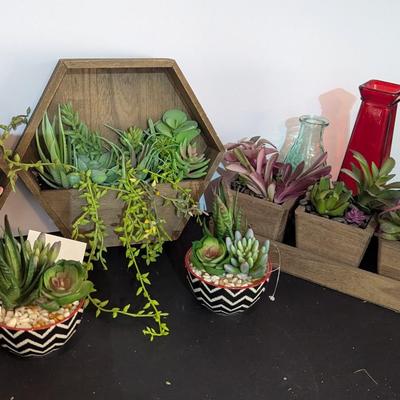 Faux Plants Display Boxes & Vases
