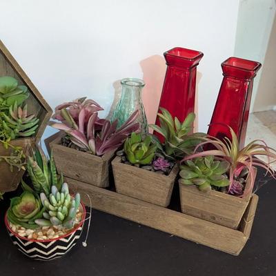 Faux Plants Display Boxes & Vases