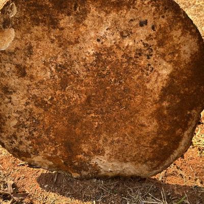 Two Large Shell Stepping Stones, Heavy