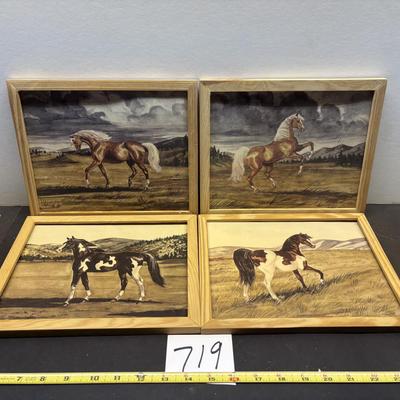Horse Pictures