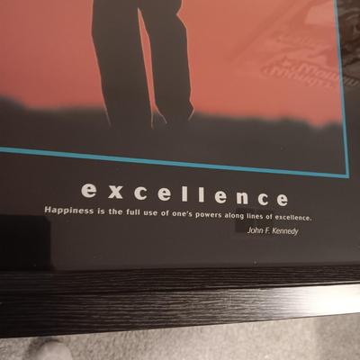 MOTIVATIONAL, INSPIRATIONAL FRAMED POSTERS "EXCELLENCE" & "WORKING TOGETHER"