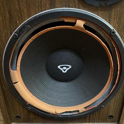 Two Vintage Cerwin-Vega Floor Speakers