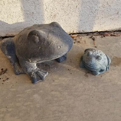 Two more garden frogs / toads