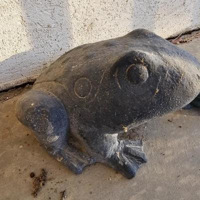Two more garden frogs / toads