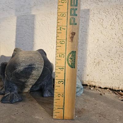 Two more garden frogs / toads