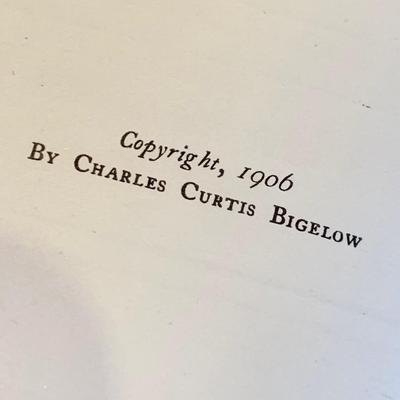 c.1906 Robert Louis Stevenson Hardback Classics Book Set 331/1000