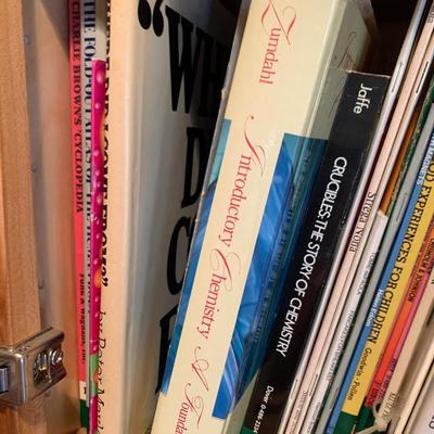 HUGE Mostly Children’s Educational & Fiction Books Lit