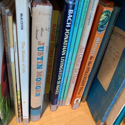 Enormous Assorted Lot of Mostly Children’s Books Educational Reference / Fiction / NonFiction