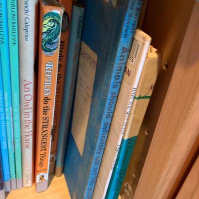 Enormous Assorted Lot of Mostly Children’s Books Educational Reference / Fiction / NonFiction