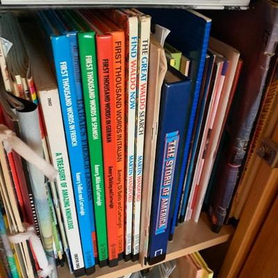 Massive Assorted Mixed Books Lot