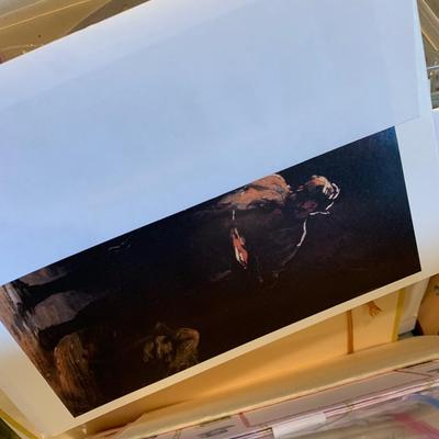 Huge Lot - Blank Greeting Cards