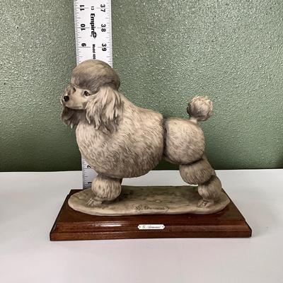 G. Armani Poodle signed