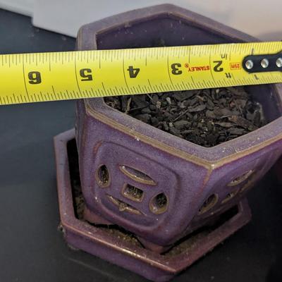 Assortment Of Ceramic Planters