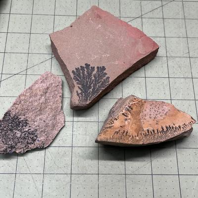 Rock Assortment