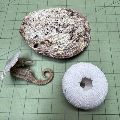 Sea Creature Decor Bundle