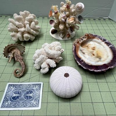 Sea Creature Decor Bundle