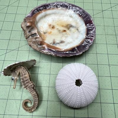 Sea Creature Decor Bundle