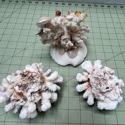 Sea Creature Decor Bundle