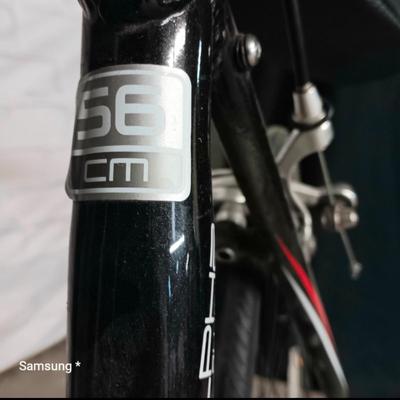 TREK Racing Bike EN14781