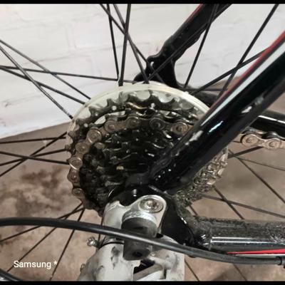 TREK Racing Bike EN14781
