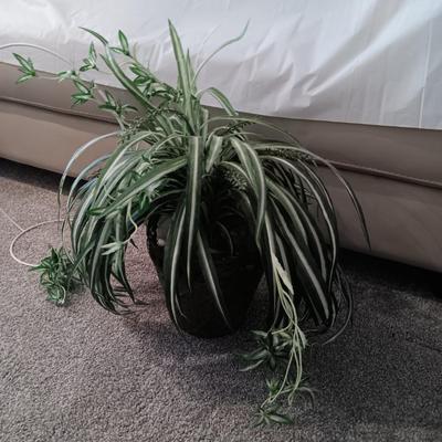 GILL COPELAND FRAMED PHOTO AND FAUX PLANT IN METAL POT