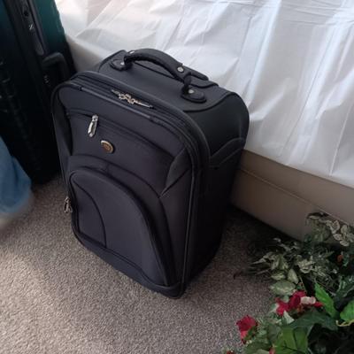LARGE DELINA II HARDSIDE SUITCASE ON 4 WHEELS AND A CARRY ON WITH 2 WHEELS