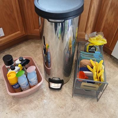Chrome trash can double organizer with household cleaning chemicals - brushes and sponges
