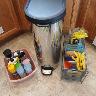 Chrome trash can double organizer with household cleaning chemicals - brushes and sponges
