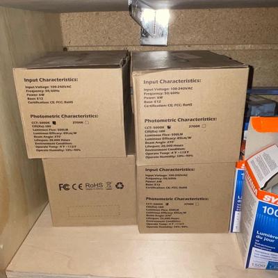 G246-Light Bulbs