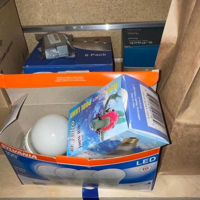 G246-Light Bulbs