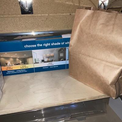 G246-Light Bulbs