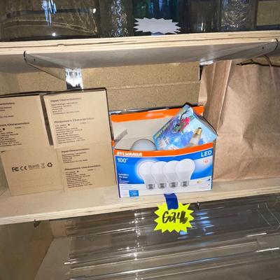 G246-Light Bulbs