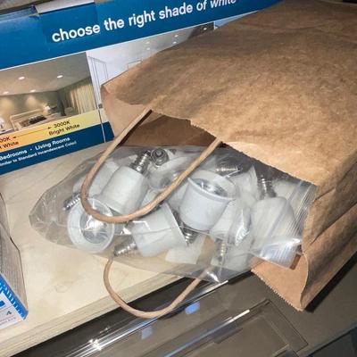 G246-Light Bulbs