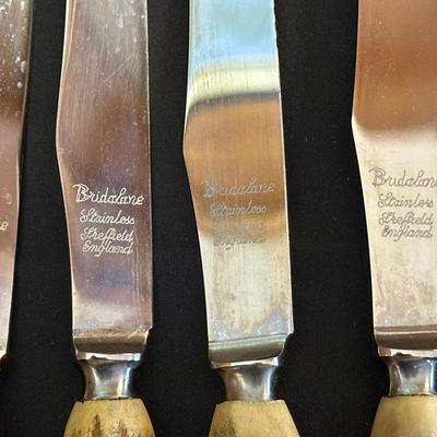 Bridalane Stainless Sheffield Knives & Small Sterling Silver Plate