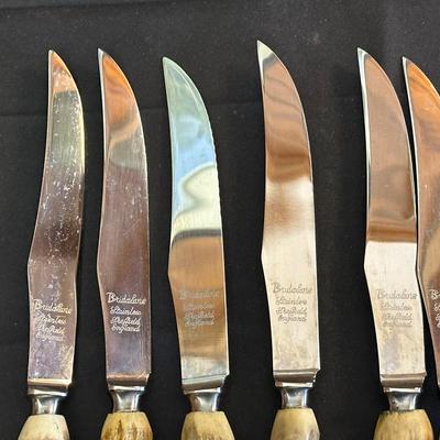 Bridalane Stainless Sheffield Knives & Small Sterling Silver Plate