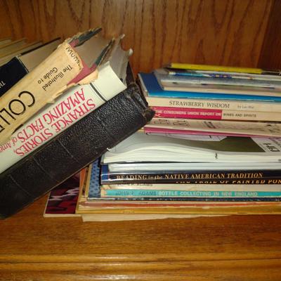 Collection of Books- Assorted Genres