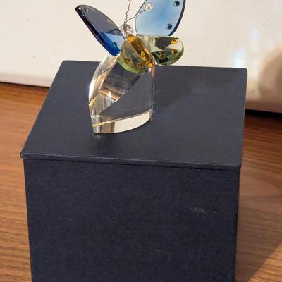 Glass Butterfly With Box