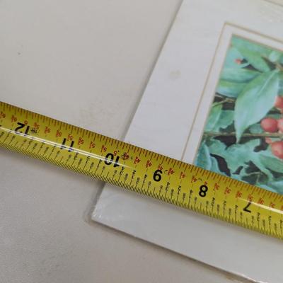 Judy Taylor Flower Prints Approx 12 1/2" x 9 3/4"