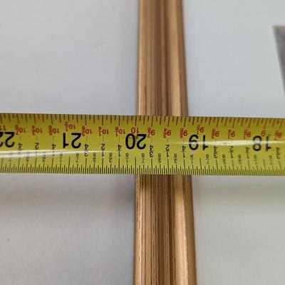 Approx 20" x 16 1/2" Nature Photos